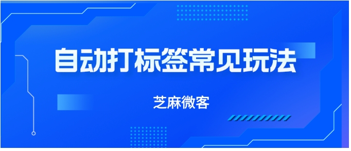 企业微信客户标签管理革新，从手动到智能的效率跃迁