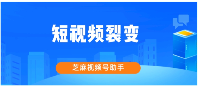 视频号短视频裂变指南，芝麻助手如何让流量呈指数级增长