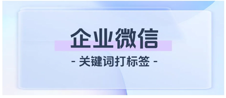 精准用户画像怎么建？企微关键词打标签功能来帮忙